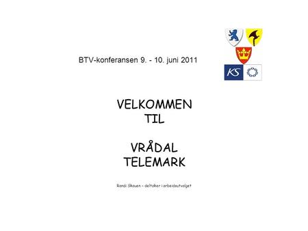 BTV-konferansen 9. - 10. juni 2011 VELKOMMEN TIL VRÅDAL TELEMARK Randi Skauen – deltaker i arbeidsutvalget.
