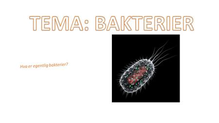 TEMA: BAKTERIER Hva er egentlig bakterier?.