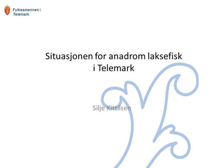 Situasjonen for anadrom laksefisk i Telemark