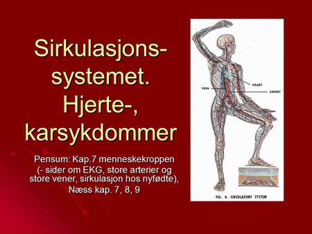 Sirkulasjons-systemet. Hjerte-, karsykdommer