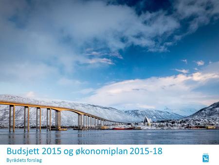 Budsjett 2015 og økonomiplan 2015-18 Byrådets forslag.