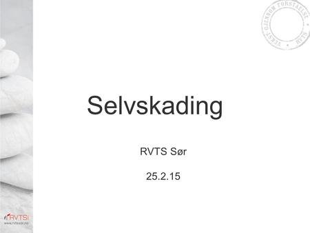 Selvskading RVTS Sør 25.2.15.