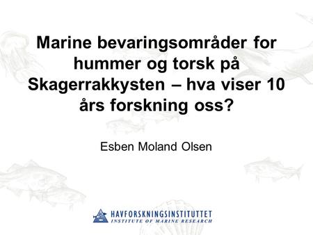 Marine bevaringsområder for hummer og torsk på Skagerrakkysten – hva viser 10 års forskning oss? Esben Moland Olsen Tittelside.