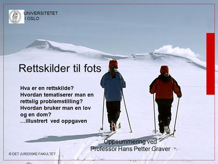 Oppsummering ved Professor Hans Petter Graver