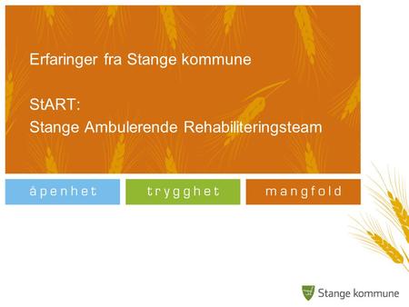 Erfaringer fra Stange kommune StART: Stange Ambulerende Rehabiliteringsteam.