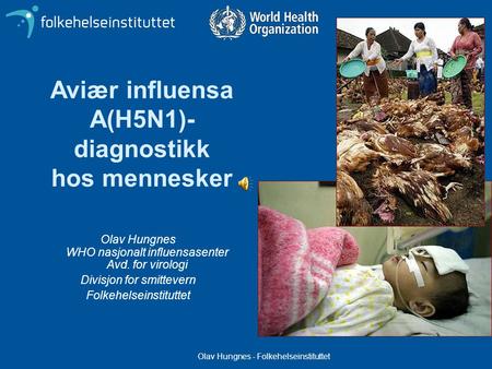 Olav Hungnes - Folkehelseinstituttet Aviær influensa A(H5N1)- diagnostikk hos mennesker Olav Hungnes WHO nasjonalt influensasenter Avd. for virologi Divisjon.