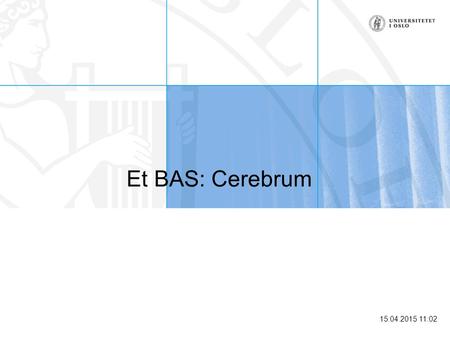 Et BAS: Cerebrum.