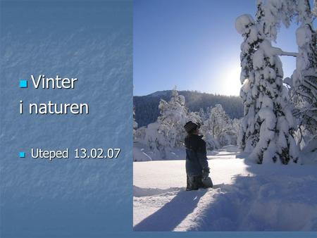 Vinter i naturen Uteped 13.02.07.