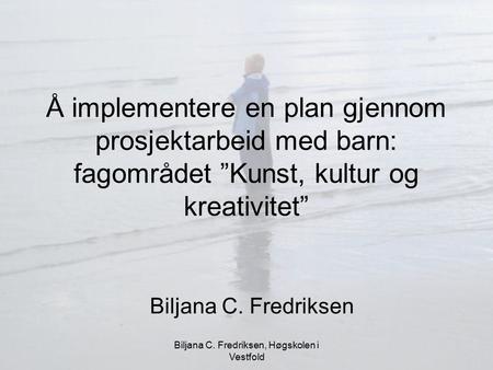 Biljana C. Fredriksen, Høgskolen i Vestfold