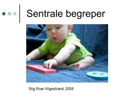 Sentrale begreper Stig Roar Wigestrand, 2008.