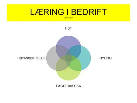 LÆRING I BEDRIFT Jon Henjum HSF HYDRO FAGDIDAKTIKK HØYANGER SKULE.