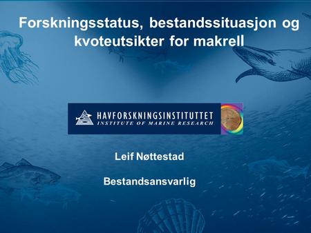 Forskningsstatus, bestandssituasjon og kvoteutsikter for makrel l Leif Nøttestad Bestandsansvarlig.