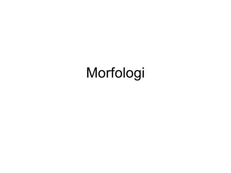 Morfologi.