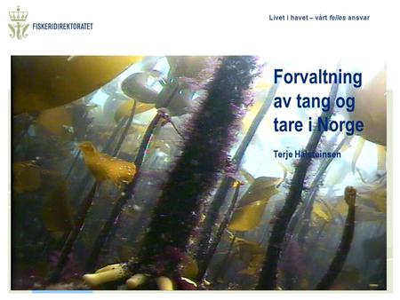 Livet i havet – vårt felles ansvar Forvaltning av tang og tare i Norge Terje Halsteinsen.