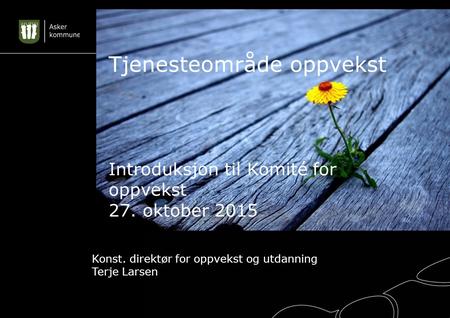 Konst. direktør for oppvekst og utdanning Terje Larsen Tjenesteområde oppvekst Introduksjon til Komité for oppvekst 27. oktober 2015.
