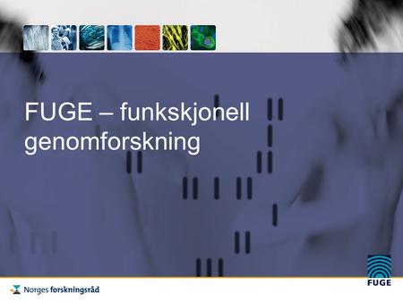 FUGE – funkskjonell genomforskning. FUGE: Norges flaggskip innen bioteknologi - Levetid 2002 -2011 - Totalt budsjett: 1,5 milliarder -Nasjonal organisering.