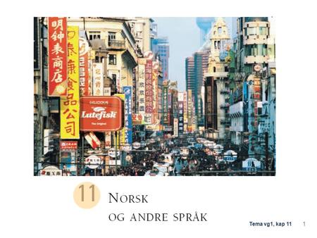 1 Tema vg1, kap 11. Del 2: Seks språk – seks ulike system Læreplanen seier at du skal kunne forklare grammatiske særtrekk ved norsk språk, samanlikna.