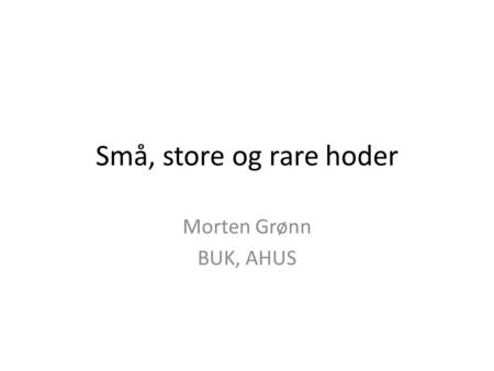 Små, store og rare hoder Morten Grønn BUK, AHUS.