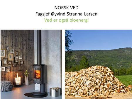 NORSK VED Fagsjef Øyvind Stranna Larsen Ved er også bioenergi.