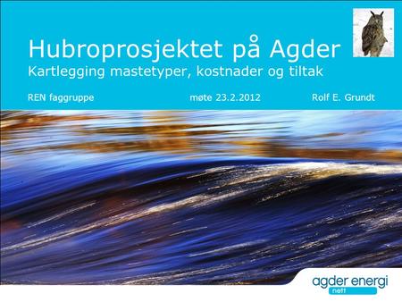 Hubroprosjektet på Agder Kartlegging mastetyper, kostnader og tiltak REN faggruppe møte 23.2.2012 Rolf E. Grundt.