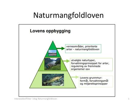 Naturmangfoldloven 1Interessekonflikter i skog Naturmangfoldloven.