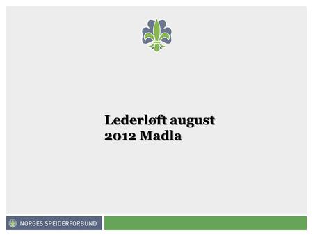 Norges speiderforbund Lederløft august 2012 Madla.