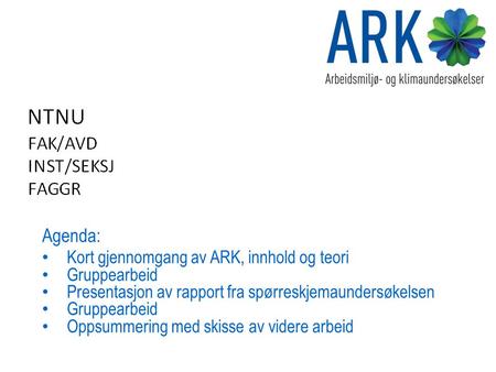 Agenda: Kort gjennomgang av ARK, innhold og teori Gruppearbeid Presentasjon av rapport fra spørreskjemaundersøkelsen Gruppearbeid Oppsummering med skisse.
