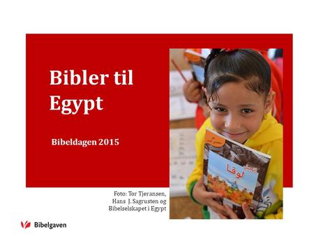 Bibler til Egypt Bibeldagen 2015 Foto: Tor Tjeransen, Hans J. Sagrusten og Bibelselskapet i Egypt.