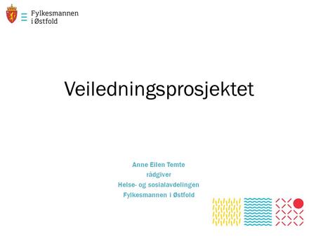 Veiledningsprosjektet Anne Eilen Temte rådgiver Helse- og sosialavdelingen Fylkesmannen i Østfold.