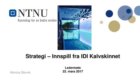 Strategi – Innspill fra IDI Kalvskinnet Ledermøte 22. mars 2017