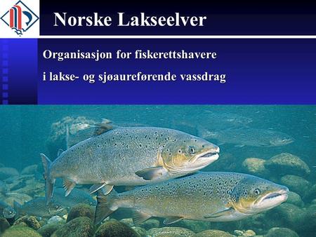 Norske Lakseelver Organisasjon for fiskerettshavere