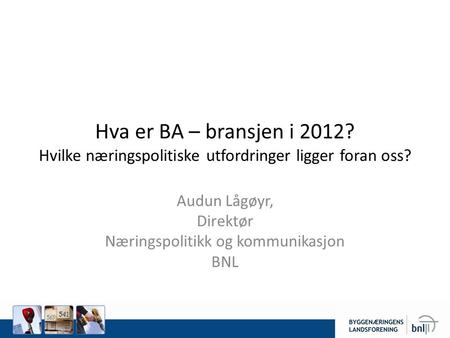 Audun Lågøyr, Direktør Næringspolitikk og kommunikasjon BNL