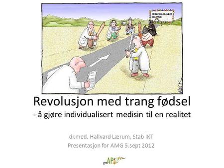dr.med. Hallvard Lærum, Stab IKT Presentasjon for AMG 5.sept 2012