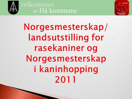 Norgesmesterskap/ landsutstilling for rasekaniner og Norgesmesterskap
