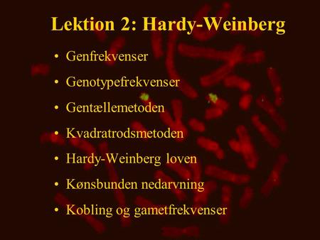 Lektion 2: Hardy-Weinberg