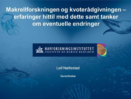 Makrellforskningen og kvoterådgivningen – erfaringer hittil med dette samt tanker om eventuelle endringer Leif Nøttestad Seniorforsker.