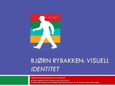 Bjørn Rybakken: Visuell identitet
