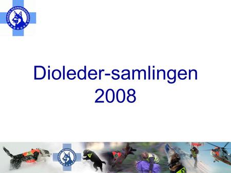 Dioleder-samlingen 2008. HS / Administrasjon - oppgaver, roller og arbeidsdeling.