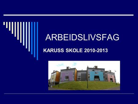 ARBEIDSLIVSFAG KARUSS SKOLE 2010-2013.