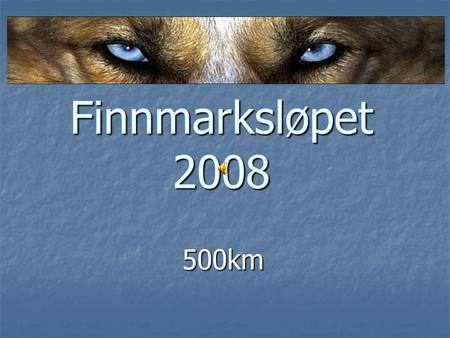 Finnmarksløpet 2008 500km. Forberedelser…. Hundematen pakkes Og sendes ut med lastebil Siste treningstur, Altaelva.