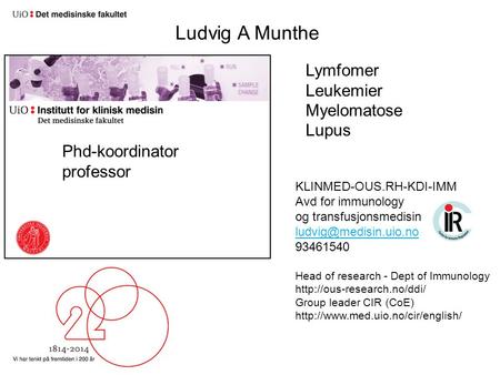 Ludvig A Munthe Lymfomer Leukemier Myelomatose Lupus Phd-koordinator