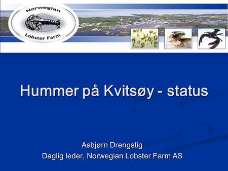 Hummer på Kvitsøy - status