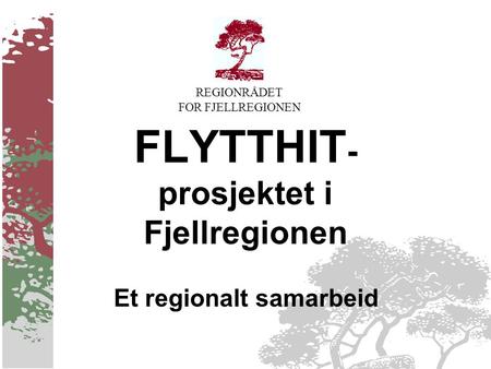 REGIONRÅDET FOR FJELLREGIONEN FLYTTHIT - prosjektet i Fjellregionen Et regionalt samarbeid.