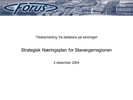 Tilbakemelding fra deltakere på samlingen Strategisk Næringsplan for Stavangerregionen 2 desember 2004.