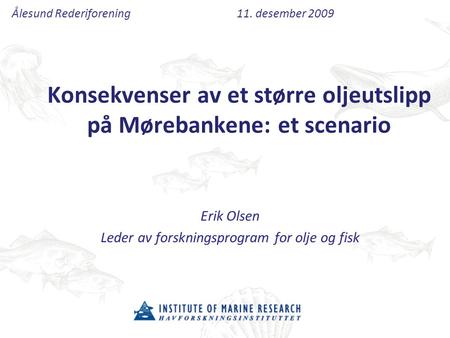Konsekvenser av et større oljeutslipp på Mørebankene: et scenario