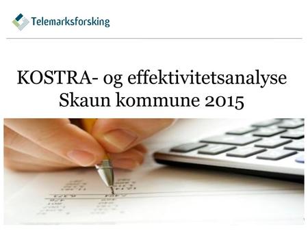 KOSTRA- og effektivitetsanalyse Skaun kommune 2015