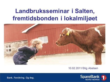 Landbruksseminar i Salten, fremtidsbonden i lokalmiljøet 10.02.2011/Stig Abelsen.