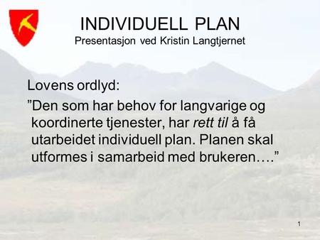 INDIVIDUELL PLAN Presentasjon ved Kristin Langtjernet