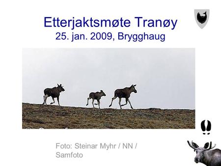 Etterjaktsmøte Tranøy 25. jan. 2009, Brygghaug Foto: Steinar Myhr / NN / Samfoto.