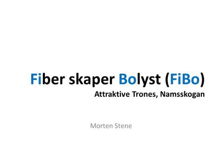 Fiber skaper Bolyst (FiBo) Attraktive Trones, Namsskogan